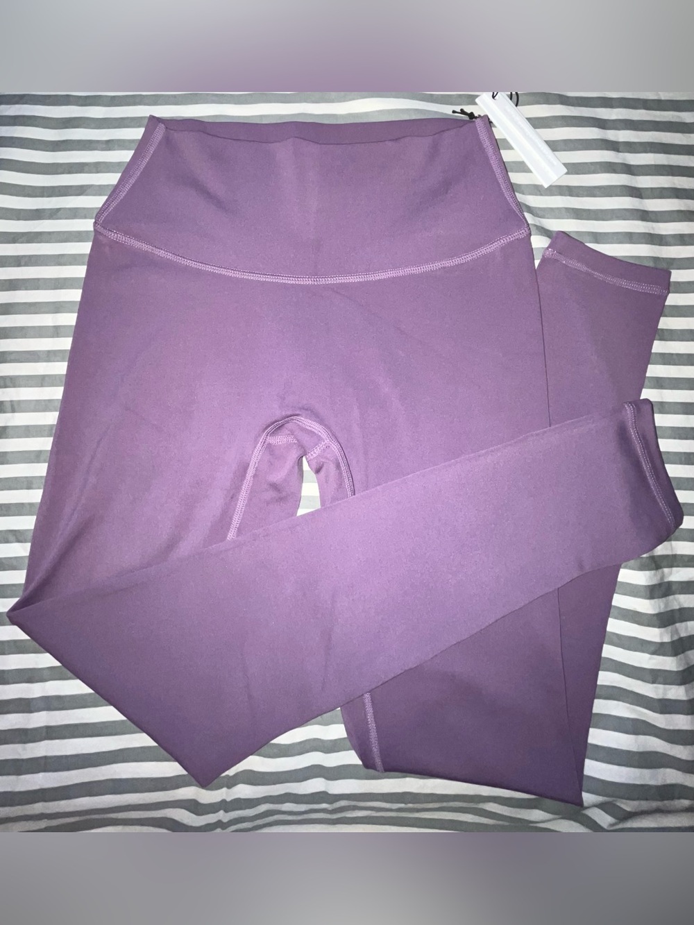 Paragon Fitwear Reluna Original Sculptseam Plus Legging in Mauve Size M